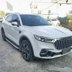 Hongqi Hongqi HS5 2023 из Китая