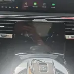 Hongqi Hongqi E-HS9 2023 из Китая