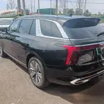 Hongqi Hongqi E-HS9 2023 из Китая