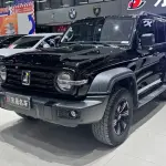 Tank Tank 300 2025 из Китая