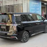 Hongqi Hongqi HQ9 2024 из Китая
