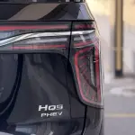 Hongqi Hongqi HQ9 2024 из Китая