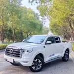 Great Wall Pao 2020 163 л.с. из Китая