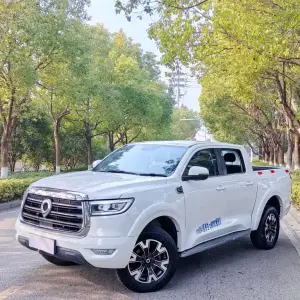 Great Wall Pao 2020 163 л.с. из Китая