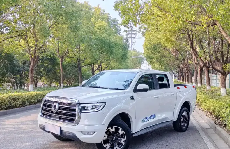 Great Wall Pao 2020 из Китая