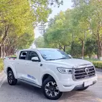 Great Wall Pao 2020 163 л.с. из Китая