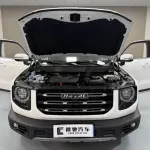 Haval Big Dog 2021 211 л.с. из Китая