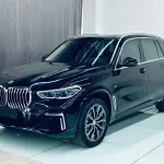 BMW X5 2023 245 л.с. 245 л.с. 245 л.с. 245 л.с. из Китая