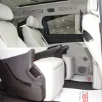 Denza Denza D9 2025 из Китая