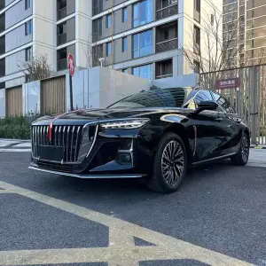 Hongqi Hongqi H5 2023 из Китая