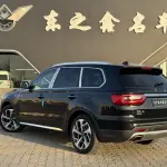 Hongqi Hongqi HS7 из Китая