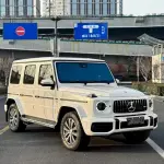 Mercedes-Benz G-Class 2023 из Китая