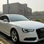 Audi A5 (Import) 2016 из Китая