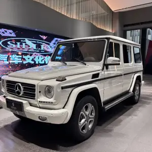 Mercedes-Benz G-Class 2013 из Китая