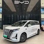 Denza Denza D9 2024 из Китая