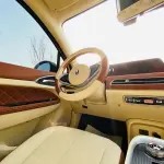 Ora Ora Good Cat 2022 из Китая