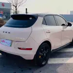 Ora Ora Good Cat 2022 из Китая