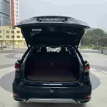 Lexus RX 2021 231 л.с. — лот 57316121 из Китая