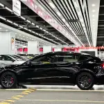 Tesla Model 3 2024 лот 57513019 из Китая