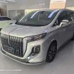Hongqi Hongqi HQ9 2023 252 л.с. — лот 57517192 из Китая