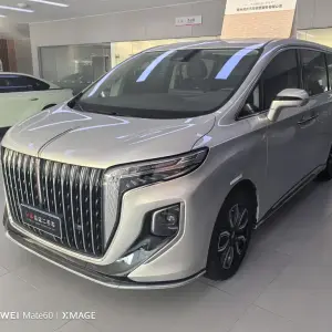 Hongqi Hongqi HQ9 2023 252 л.с. — лот 57517192 из Китая