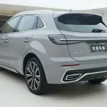 Hongqi Hongqi HS5 2023 из Китая