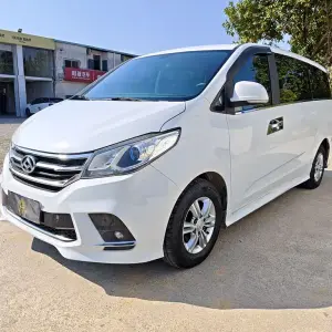 大通 G10 2019 из Китая