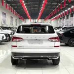 Skoda Kamiq 2023 109 л.с. из Китая