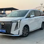 GAC Motor Trumpchi M8 2024 из Китая