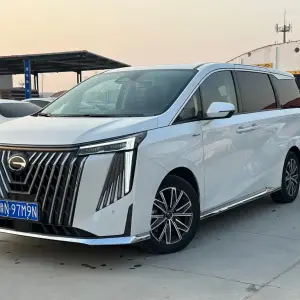 GAC Motor Trumpchi M8 2024 из Китая