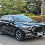 Hongqi Hongqi HS7 2021 из Китая