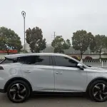 BYD Tang New Energy 2024 из Китая