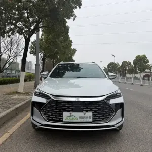 BYD Tang New Energy 2024 из Китая
