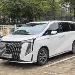 GAC Motor Trumpchi M8 2023 из Китая