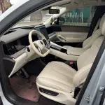 Denza 腾势N9 2025 из Китая