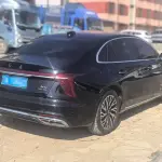 Hongqi Hongqi H5 2023 из Китая