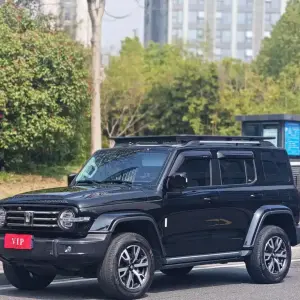 Tank Tank 300 2022 из Китая