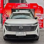 Nissan Teramont 2024 из Китая