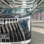 GAC Motor Trumpchi M8 2023 из Китая