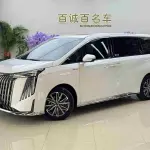 GAC Motor Trumpchi M8 2024 из Китая