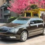 Skoda Superb 2013 из Китая