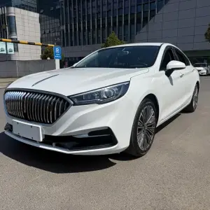 Hongqi Hongqi H5 2022 из Китая