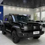 Tank Tank 300 2023 из Китая