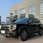 Haval Big Dog 2025 из Китая