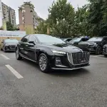Hongqi Hongqi H5 2024 из Китая