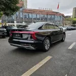 Hongqi Hongqi H5 2024 из Китая