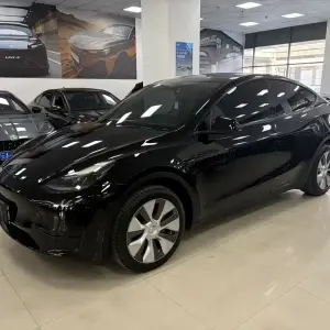 Tesla Model Y 2023 из Китая