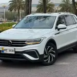 Volkswagen Tiguan L 2024 из Китая