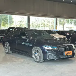 BMW 5 Series (Import) 2021 из Китая