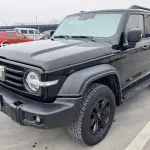 Tank Tank 300 2022 из Китая